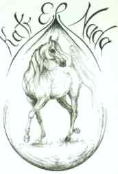 araber.de