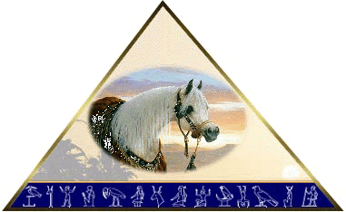 pyramidsociety.org